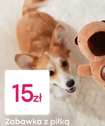 Zabawka z piłką