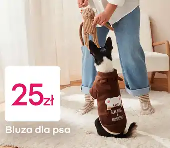 Bluza dla psa
