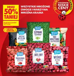 Biedronka Warzywa na patelnię z ziemniakami Mroźna Kraina oferta