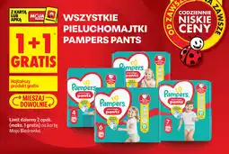 Biedronka Pieluchomajtki Pampers Pants oferta