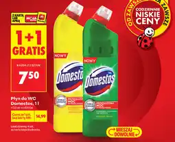 Biedronka Domestos WC Cleaner, 1L (various types) oferta