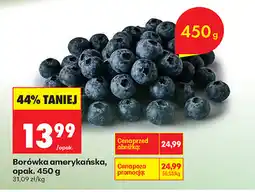 Biedronka Borówka amerykańska, opak oferta