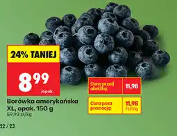 Biedronka Borówka amerykańska XL oferta