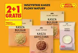 Biedronka Kasze Plony Natury (Kasza Bulgur, Gryczana, Manna) oferta