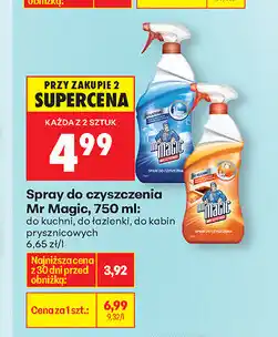 Biedronka Spray do czyszczenia Mr Magic oferta