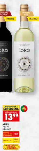 Biedronka Loios (białe) oferta