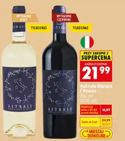 Biedronka Astrale Bianco / Rosso oferta