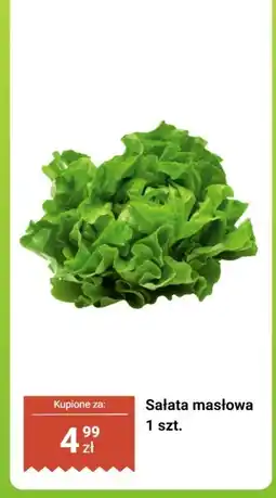 Biedronka Sałata masłowa 1 szt oferta