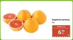 Biedronka Grapefruit czerwony luz oferta
