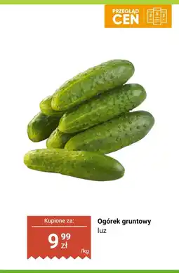 Biedronka Ogórek gruntowy luz oferta