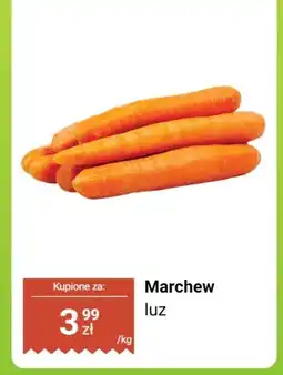 Biedronka Marchew luz oferta