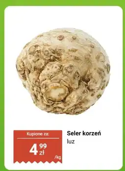 Biedronka Seler korzeń luz oferta