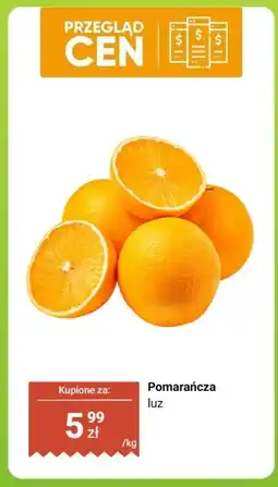 Dino Pomidor daktylowy oferta