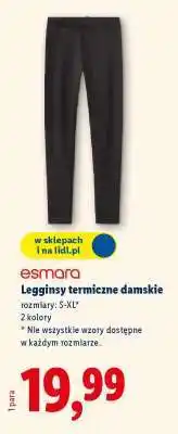 Lidl Legginsy termiczne damskie oferta