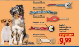 Lidl Zoofari Zabawka dla psa ze sznurkiem oferta