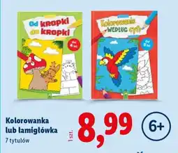 Lidl Kolorowanka lub łamigłówka oferta