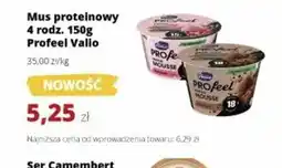 Torimpex Valio Profeel Mus proteinowy oferta