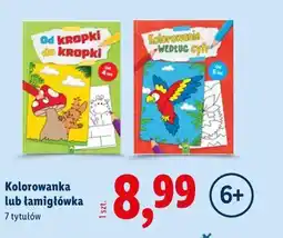 Lidl Kolorowanka lub łamigłówka (7 tytułów) oferta