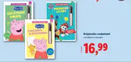 Lidl Książeczka z zadaniami z pisakiem w zestawie oferta
