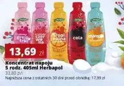 Torimpex Herbapol Koncentrat napoju oferta