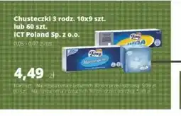 Torimpex Foxy Chusteczki oferta