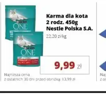 Purina ONE Karma dla kota
