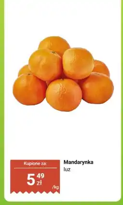 Dino Winogrono ciemne luz oferta