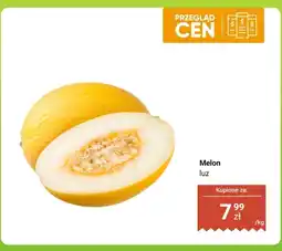 Dino Melon luz oferta