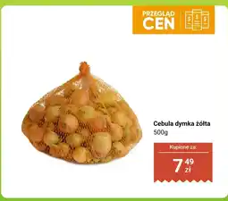 Dino Cebula dymka żółta oferta