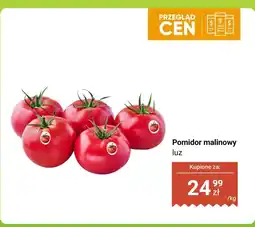 Dino Pomidor malinowy luz oferta