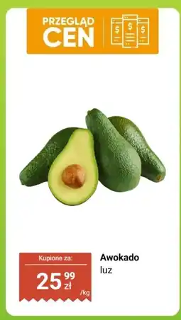 Dino Awokado luz oferta