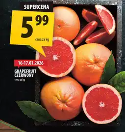 Arhelan Grapefruit czerwony oferta