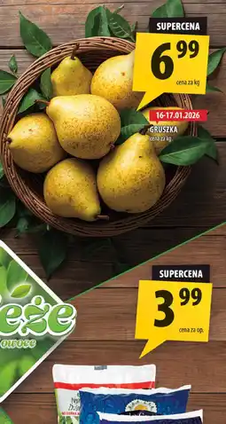 Arhelan Gruszka oferta
