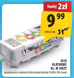Arhelan Jaja klatkowe kl. M 10szt oferta