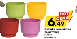 Bricomarche Osłonka oferta
