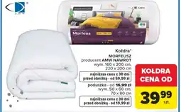 Carrefour Kołdra AMW oferta