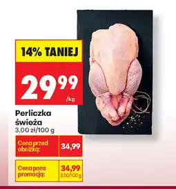 Biedronka Perliczka oferta