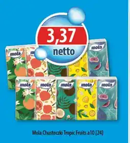 DUO-TES Mola Chusteczki Tropic Fruits oferta