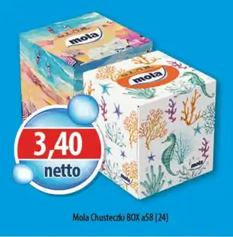 DUO-TES Mola Chusteczki BOX oferta