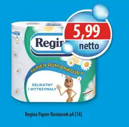 DUO-TES Regina Papier Rumiankowy oferta