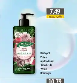 DUO-TES Herbapol Polana mydło do rąk oferta