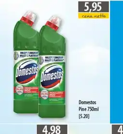 DUO-TES Domestos Pine oferta