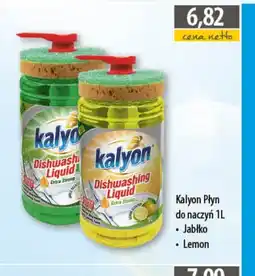 DUO-TES Kalyon Płyn do naczyń oferta