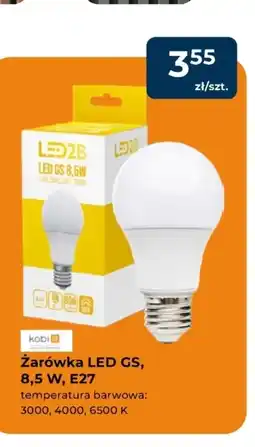 Mrówka Żarówka Kobi oferta