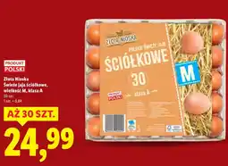 Lidl Jaja Złota nioska oferta