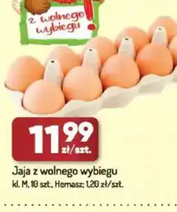 Avita Jaja z wolnego wybiegu oferta