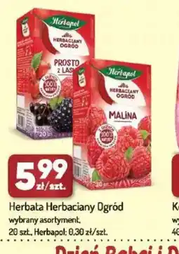 Avita Herbata Herbaciany Ogród oferta