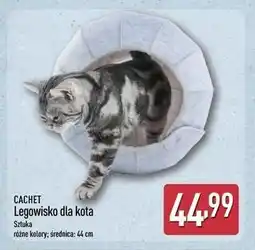 ALDI Legowisko dla kota oferta