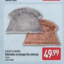 ALDI Nakładka na kanapę dla zwierząt oferta