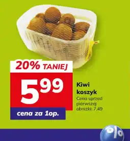Hitpol Kiwi koszyk oferta
